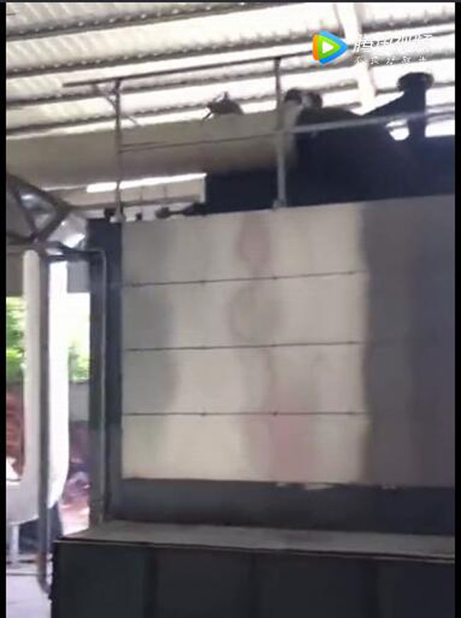 
生物質(zhì)氣化爐燃燒視頻