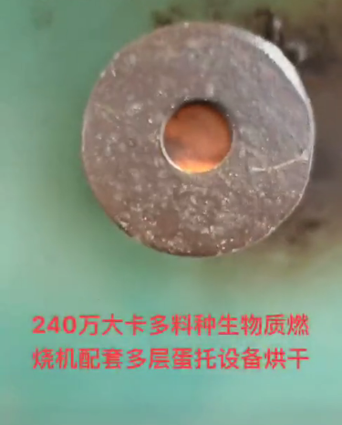 
240萬大卡多料種生物質(zhì)燃燒機(jī)配套多層蛋托設(shè)備烘干