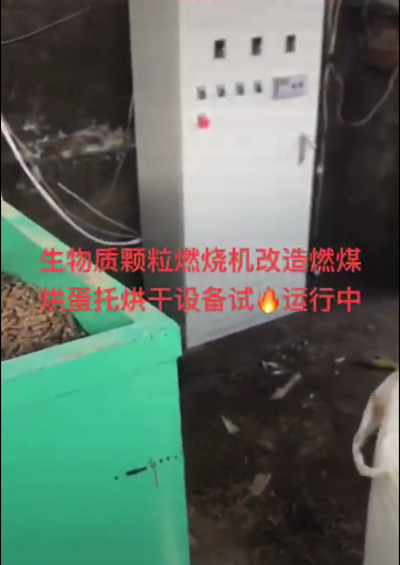 
生物質(zhì)顆粒燃燒機(jī)改造燃煤烘蛋托設(shè)備試火運(yùn)行中